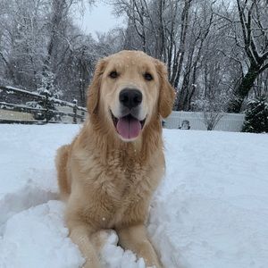 Meet your Posher, Casey